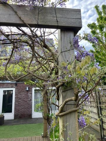 Rijsenhout B&B Schiphol Amsterdam מראה חיצוני תמונה